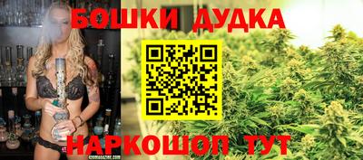 прущие грибы Лесосибирск