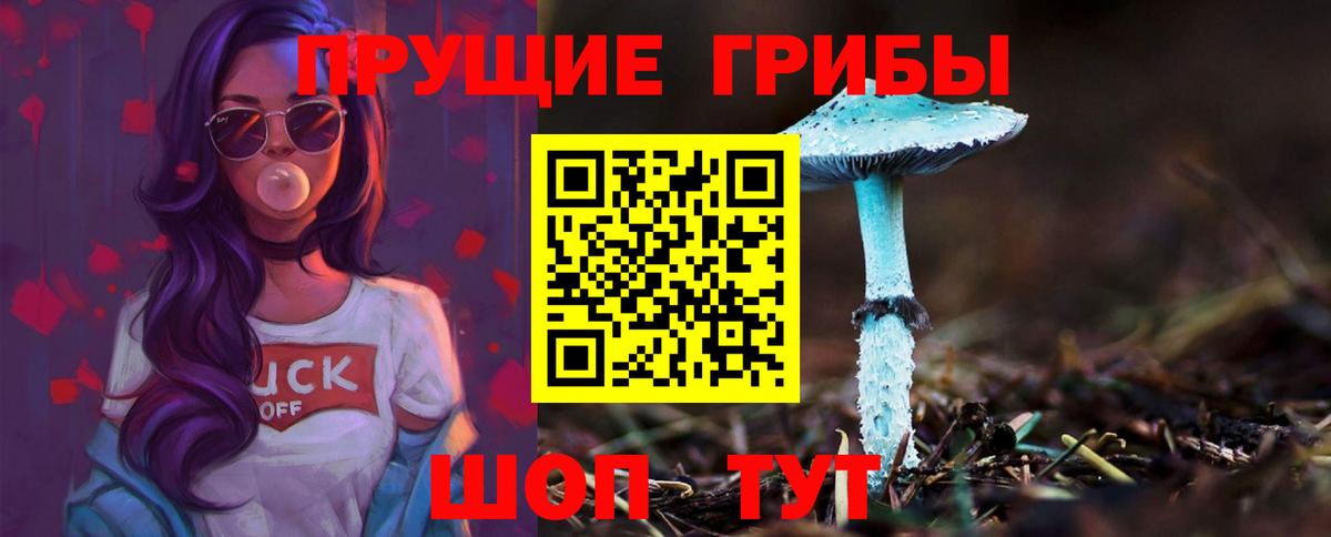 Псилоцибиновые грибы GOLDEN TEACHER  Вход с VPN  Туапсе 